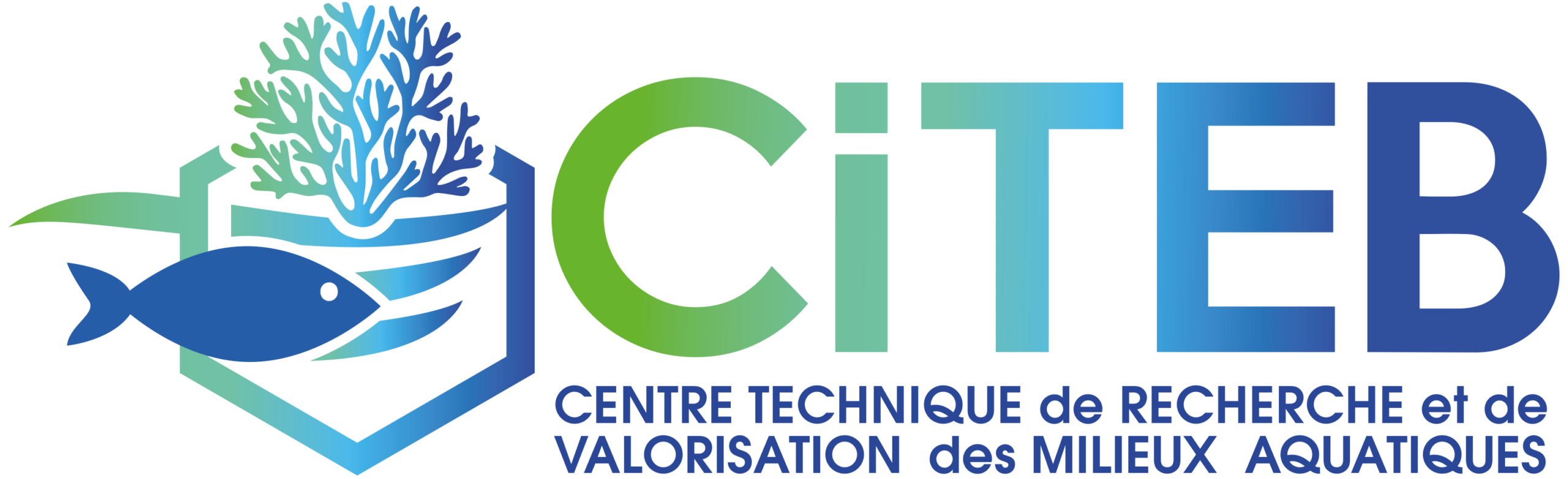 Logo CITEB