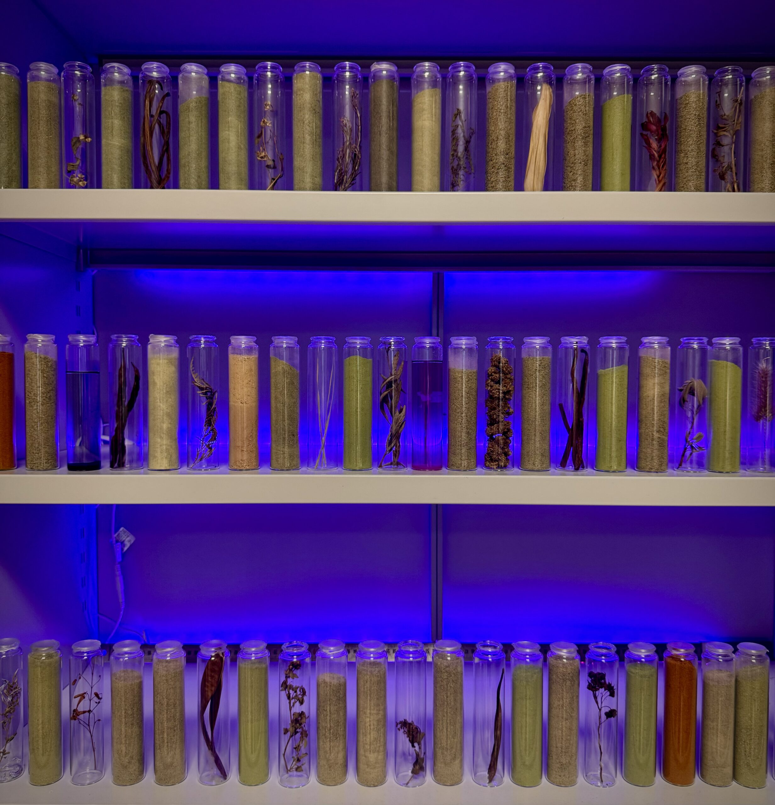 Plateforme d'extraction végétale