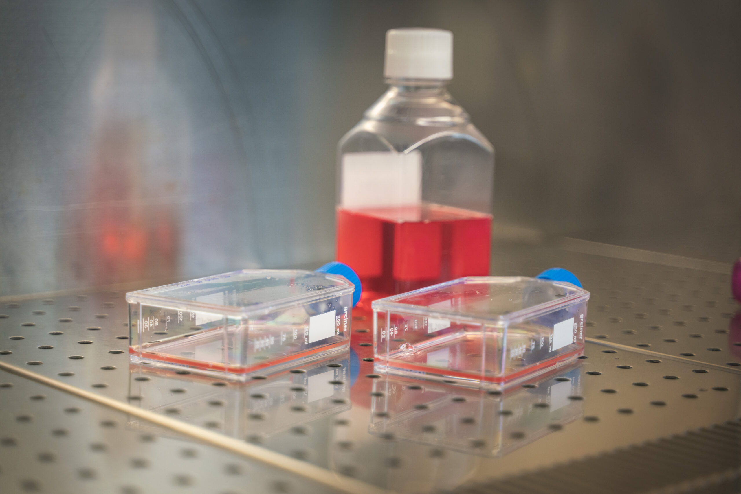 Laboratoire In Vitro