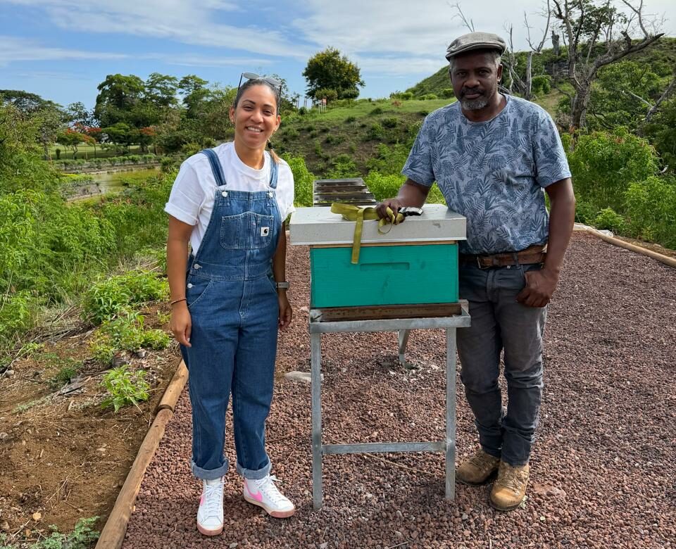 Installation des ruches au Parc boisé du Port