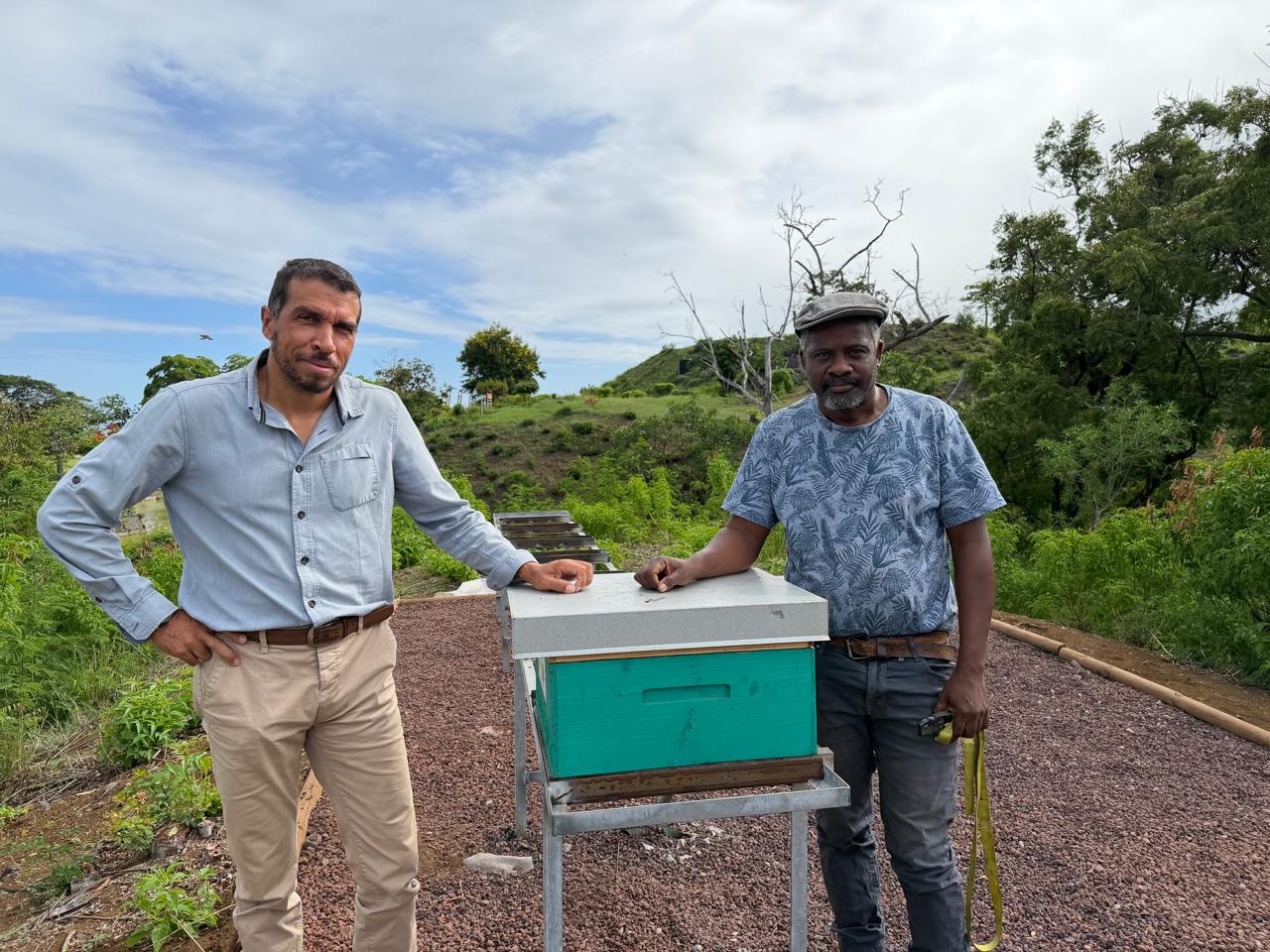 Ruches expérimentales Prop'OMiel