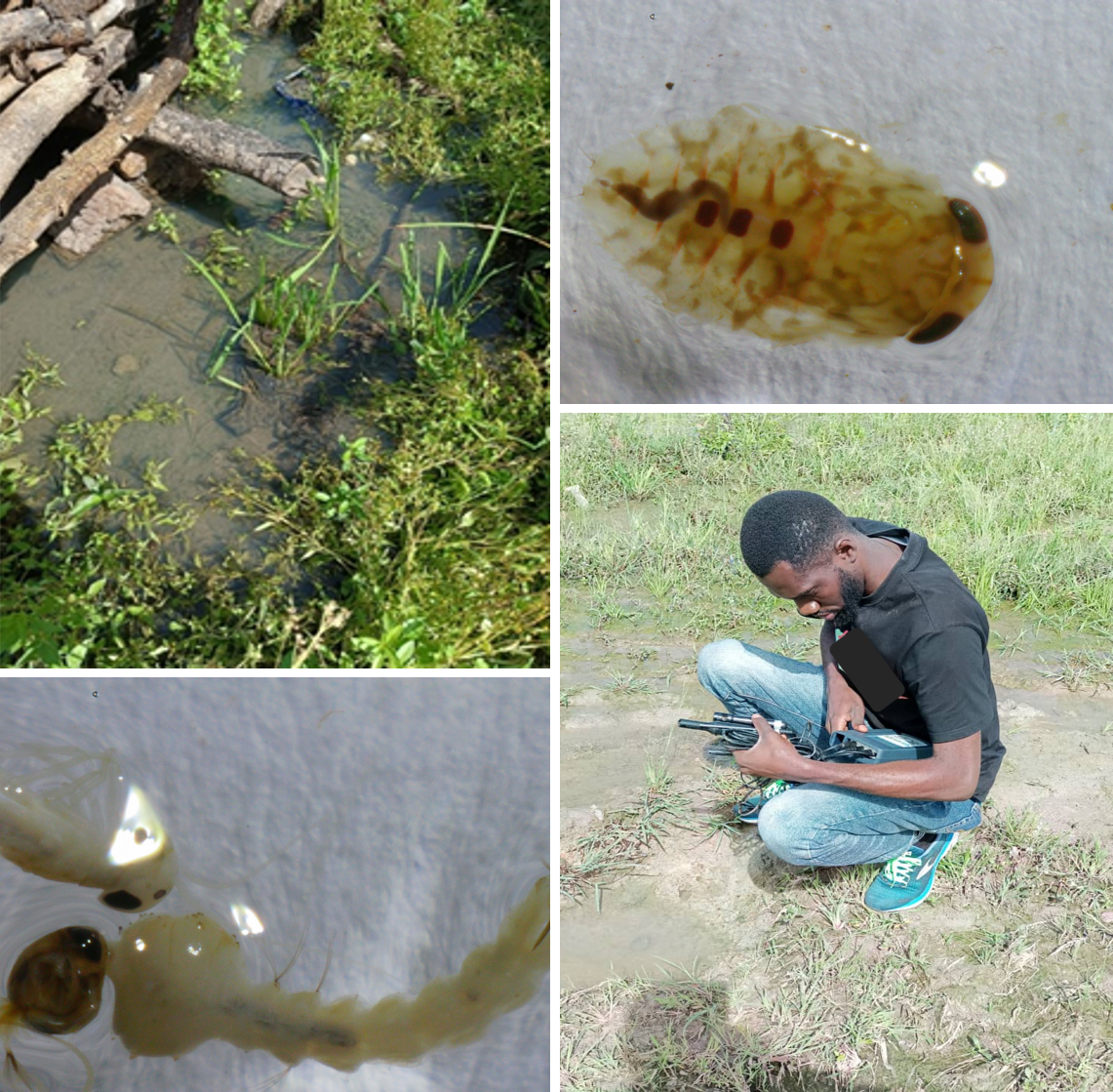 Inoussa Toé - Surveillance entomologique au Burkina Faso