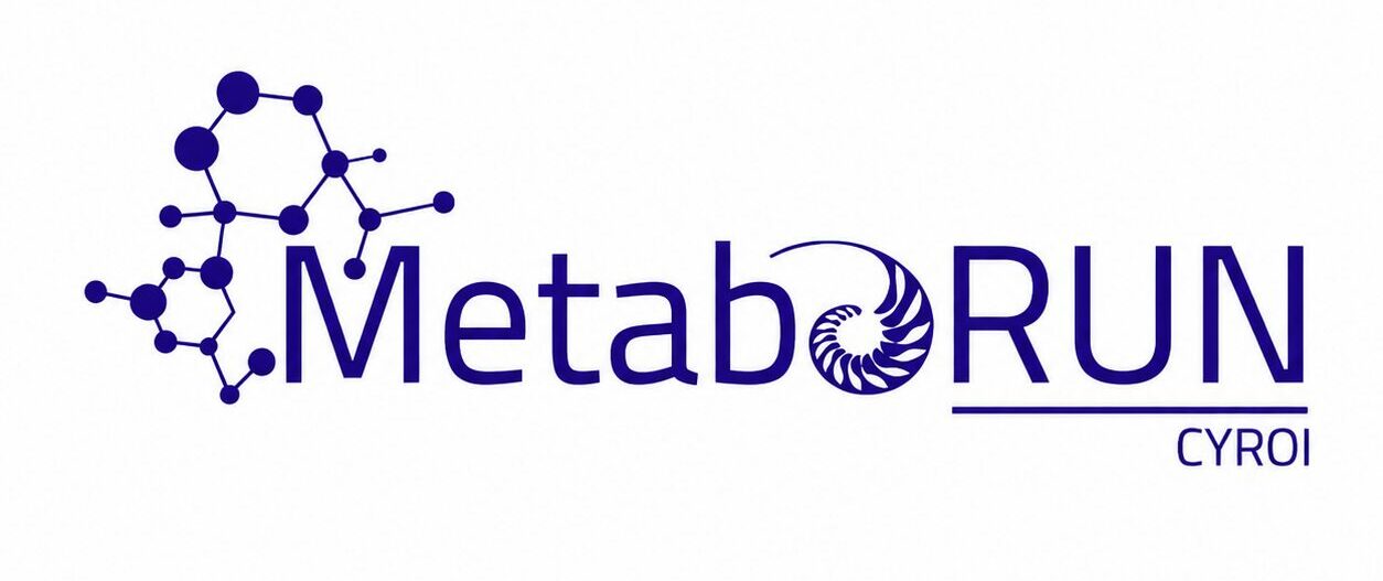 Logo MetaboRUN